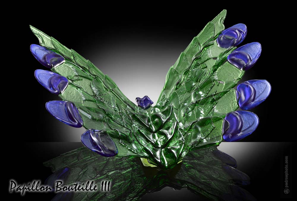 Papillon bouteille | Oeuvre Pierre Coia