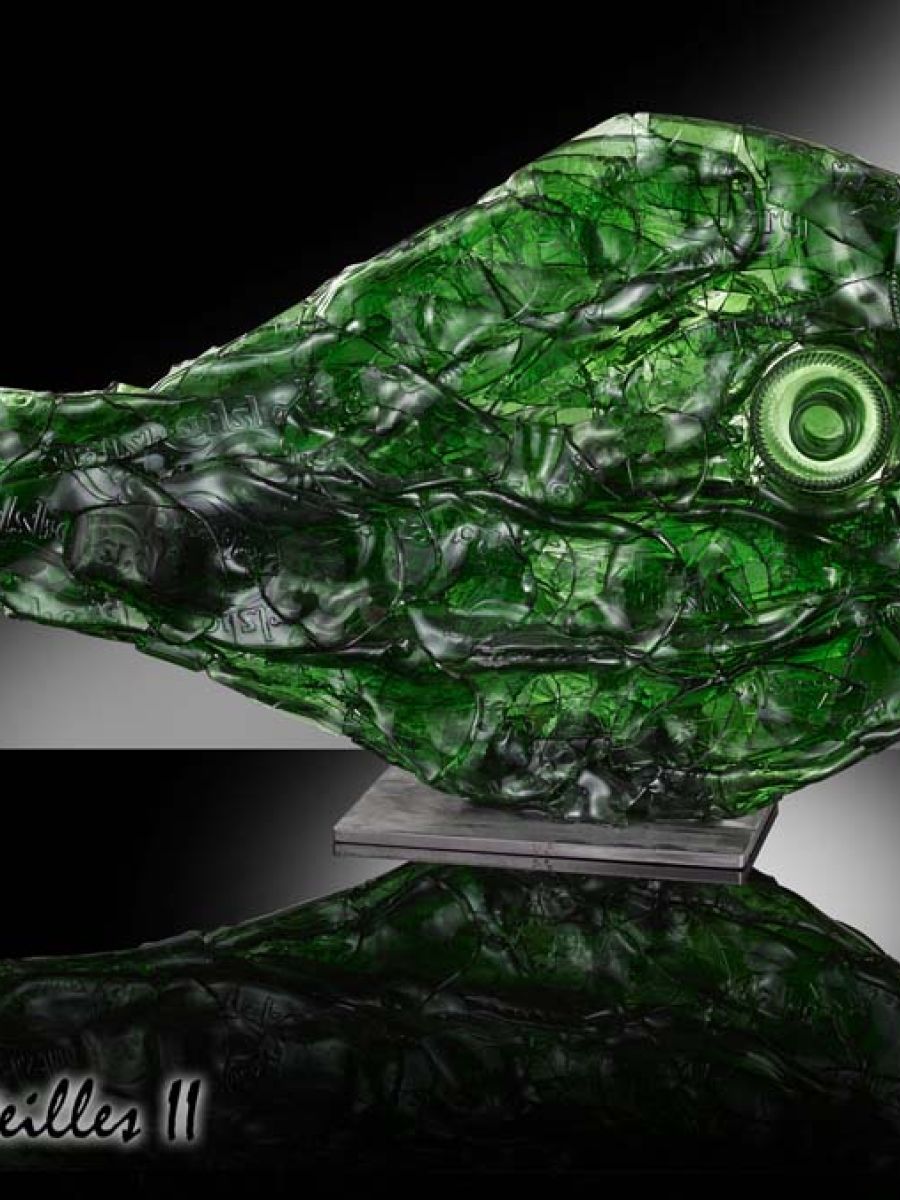 Poisson bouteille 2 | Oeuvre Pierre Coia