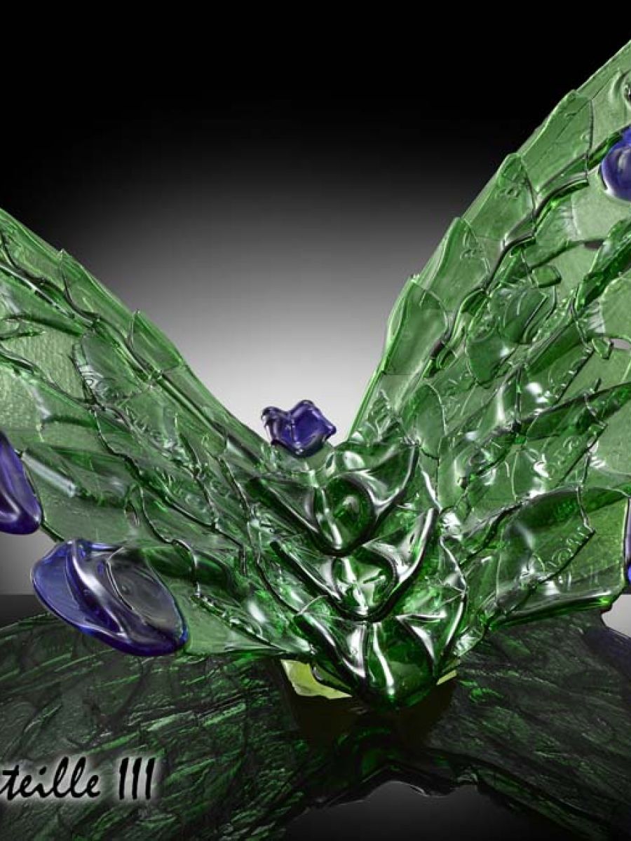 Papillon bouteille | Oeuvre Pierre Coia